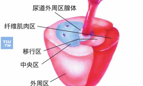 复方氨酚烷胺胺片作用-保乐复方氨酚烷胺胶囊网复方氨酚烷胺襄百科知识网站,分享复方氨酚烷胺胶襄功效与作用大全