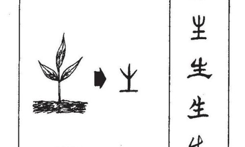 复方氨酚烷胺胶囊功效与作用的功效与作用及禁忌-保乐复方氨酚烷胺胶囊网复方氨酚烷胺襄百科知识网站,分享复方氨酚烷胺胶襄功效与作用大全